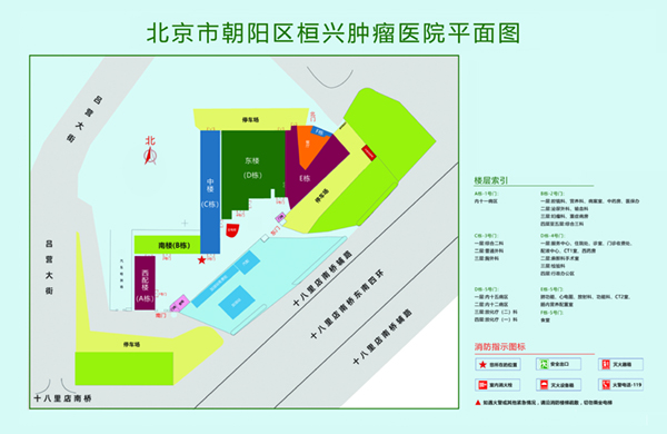 鸡巴操逼視频北京市朝阳区桓兴肿瘤医院平面图